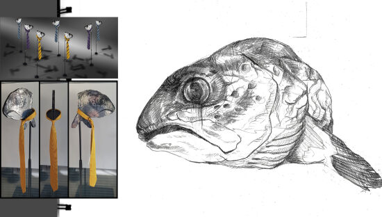 ACCESSOIRE poisson-cravate