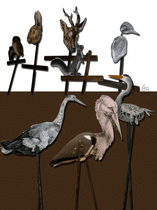 Oiseaux et Marottes